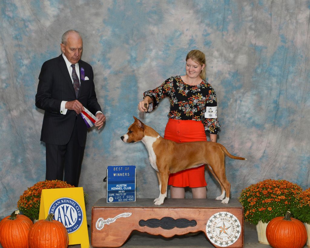 Ruby in Belton - BOW